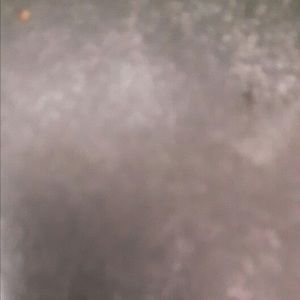 Meet your Posher, Georgia